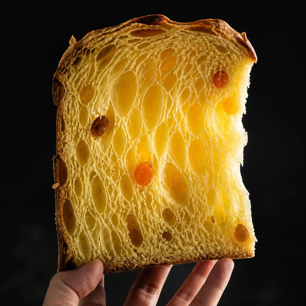 Fetta di panettone controluce con alveolatura allungata